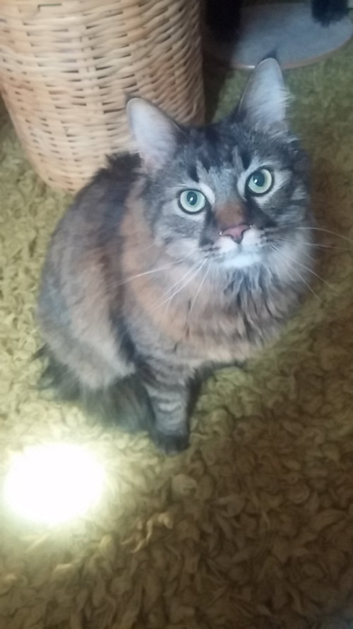 Mason