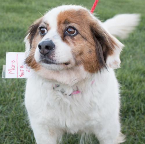Heidi
