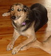 Rosie