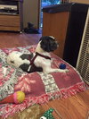 Bently