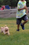 Khole Puppy