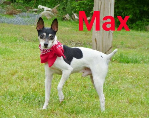 Max