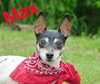 Max