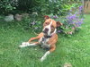 Lucy-Foster Needed