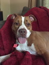 Lucy-Foster Needed
