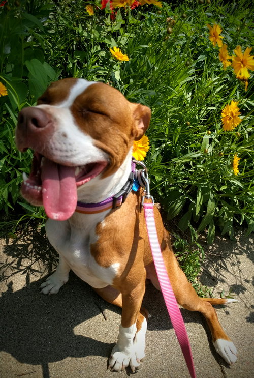 Lucy-Foster Needed