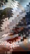 Francis -Puppy
