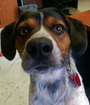 Monty