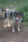 Monty