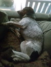 Monty