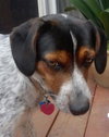 Monty
