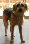 Ben