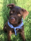 Tuka-Foster Needed
