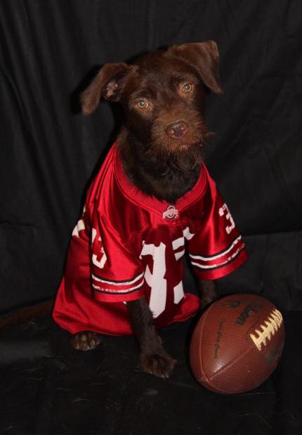 Tuka-Foster Needed