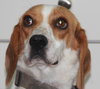 Rudy