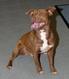 Romeo