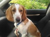 Chester