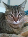 Killian