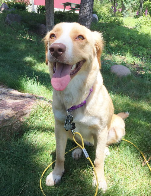 Sadie