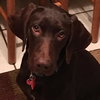 Hershey