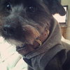 Rosko
