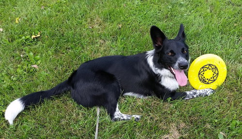 Oskar