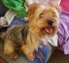 Betty -Bonded Pair
