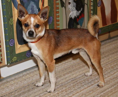 Cisco
