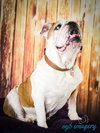 Louie