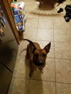 Barron