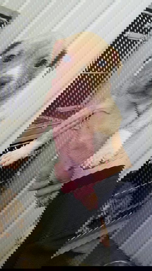 Karen