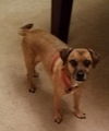 Grady