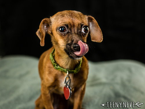 Minnie