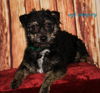 Pepper