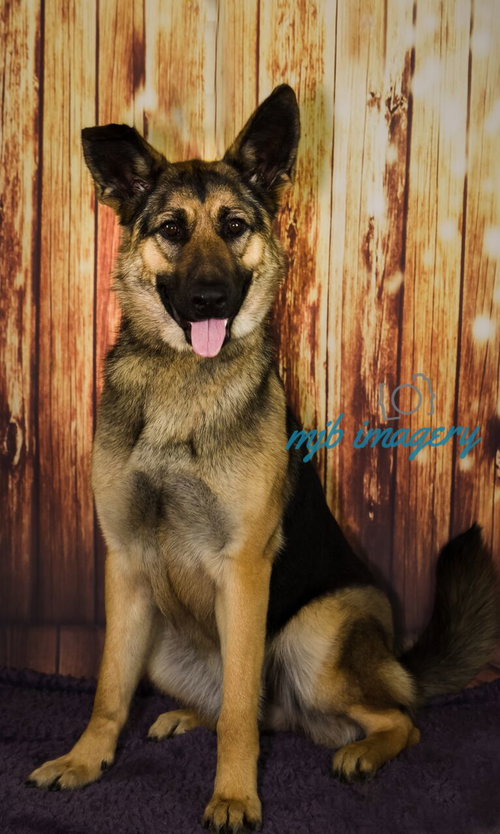 Gretta