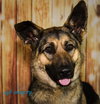 Gretta