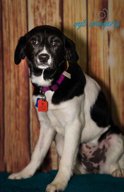 Penny Lou