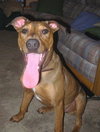 Cooper