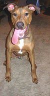 Cooper