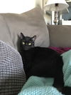 Barnaby