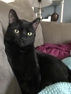 Barnaby