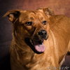 Rusty