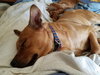 Rusty