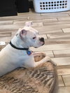 Chloe