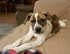 Ryker