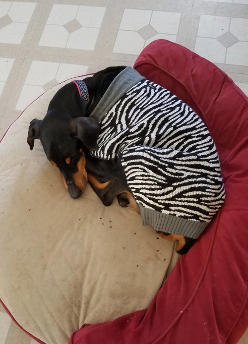 Heidi