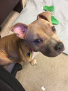 Betty