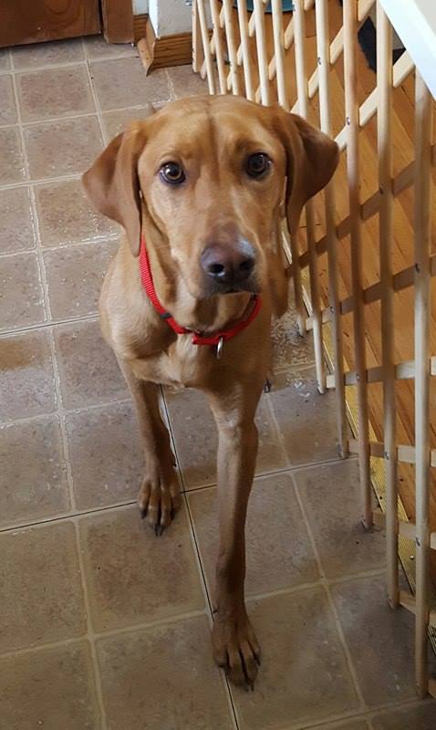 Wilma