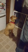 Wilma