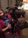 Braxton -Puppy